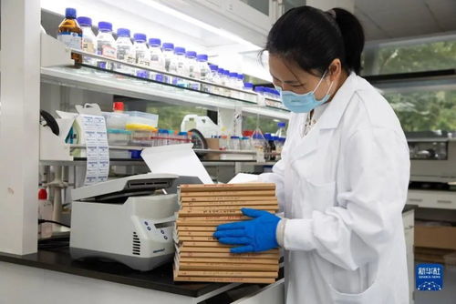 人造淀粉 生物科技顛覆農(nóng)業(yè)，開啟糧食生產(chǎn)新紀(jì)元